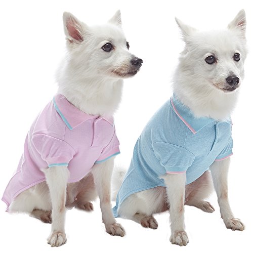 Blueberry Pet Pack of 2 Back to Basic Cotton Blend Dog Polo Shirts in Pastel Pink and Blue, Back Length 16", Clothes for Dogs