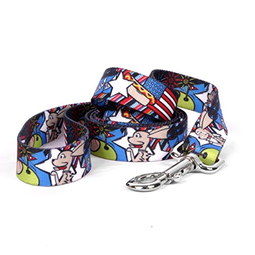 Yellow Dog Design American Dream Dog Leash 3/4" Wide and 5&