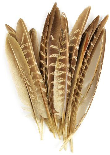 Midwest Design Touch of Nature 38192 Pheasant Wing Quill, 7-Inch