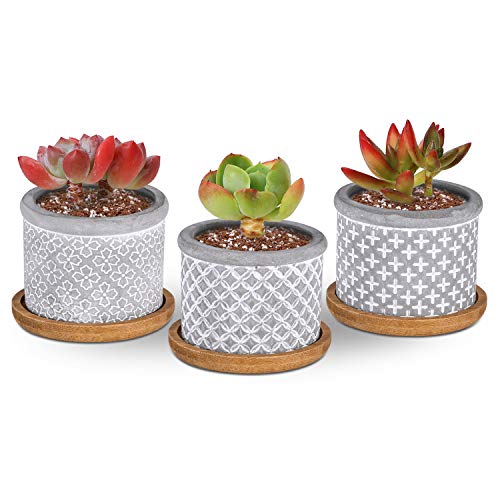 T4U 2.25 Inch Cement Grey Succulent Planter Pot with Drainage Tray, Concrete Succulent Mini Pot for Office Home Decoration, Set of 3