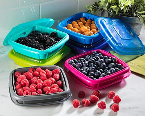 HIC Hutzler 12-73 Bitty Berry Box Counter Display, Pack of 12