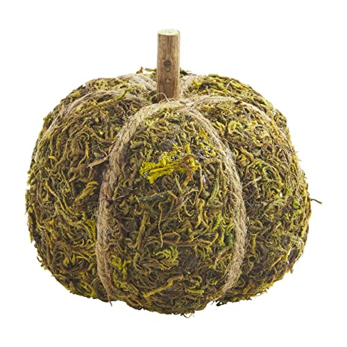 Mud Pie Moss Preserved Moss Pumpkin, Small Table Sitters, 4 1/2-inch Diameter