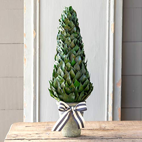 Park Hill Collection EBD90939 Lemon Leaf Cone Topiary, 23-inch Height