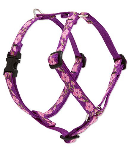 Lupine Pet Originals 1/2" Rose Garden 9-14" Adjustable Roman Dog Harness for Extra Small Dogs