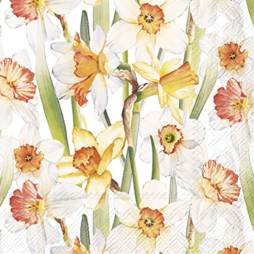 Boston International IHR Ideal Home Range - Paper Napkins DAFFODIL JOY 20-Count 3-Ply Lunch Napkins 6.5 x 6.5 inches