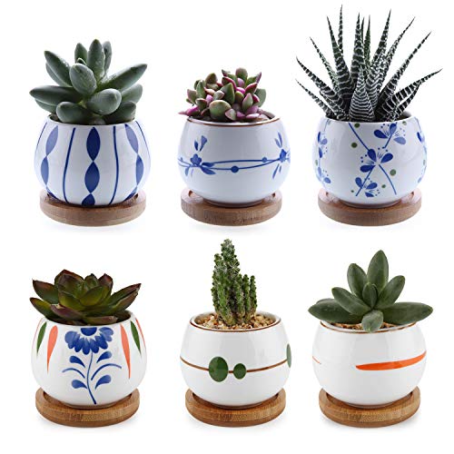 T4U Succulent Planters with Bamboo Tray 2.75 Inch - Set of 6, Small Cute Ceramic Cactus Pots with Drainage Hole for Home Office Desk Garden Decoration