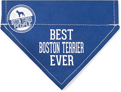 Pavilion Gift Company Pavilion-Best Boston Terrier Ever-Blue Canvas Small Dog Collar-7" x 5" Pet Bandana, 7x5 Inch