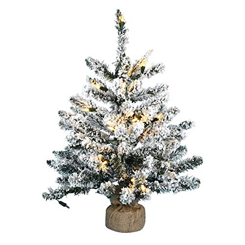 Vickerman 24" Flocked Anoka Pine Artificial Christmas Tree, Warm White LED Lights - Snow Covered Faux Tree - Seasonal Potted Indoor Home Decor