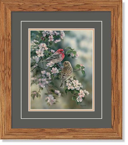 Wild Wings(MN) House Finches GNA Deluxe Framed Print