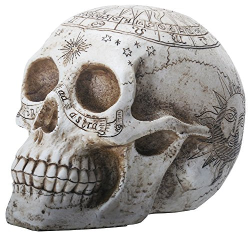 Pacific Trading YTC 7.75 Inch Resin Skull with Astrology Engravings, White Colored