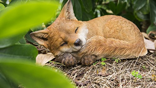 Hi Line Gift 87719-D Fox Pup Sleeping Statue