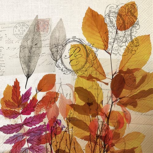 Boston International IHR Ideal Home Range - Paper Napkins AUTUMN MEMORIES cream 20-Count 3-Ply Cocktail Napkins 5 x 5 inches