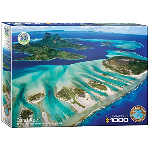 EuroGraphics Coral Reef 1000-Piece Panoramic Puzzle