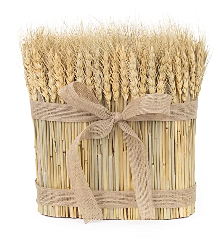 Boston International Fall Table Centerpiece, 8 x 10-Inches, Wheat