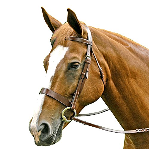 Intrepid International Exselle Flat Hunt Bridle, Full