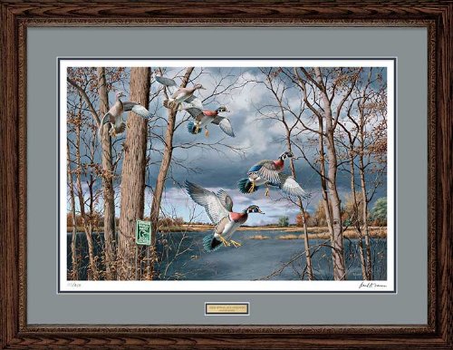 Wild Wings(MN) Fruits of Your Labor - Wood Ducks Framed Artist Proof Print by David A. Maass