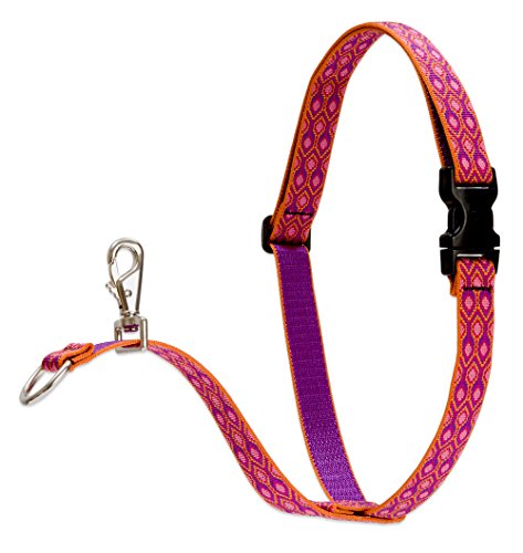 Lupine Pet Originals 1" Alpen Glow 26-38" No Pull Harness for Medium-Larger Dogs