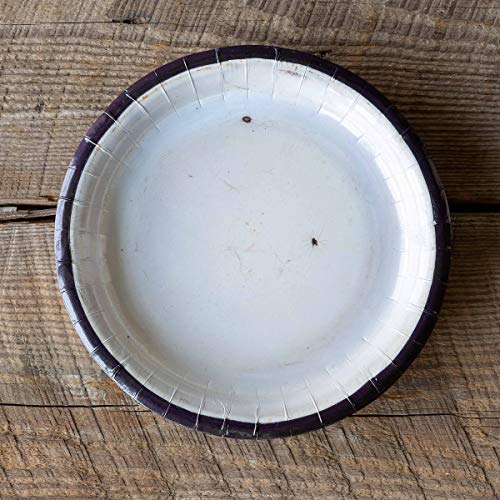 Park Hill Collection EAP90975 Old Enamelware Paper Dinner Plates, 10-inch Diameter, Package of 8