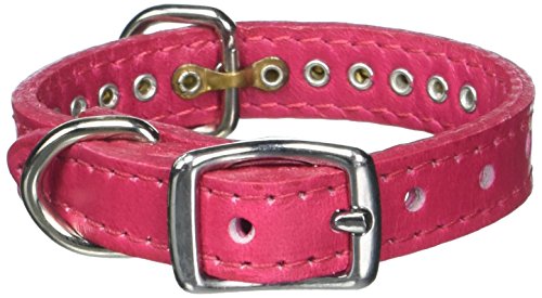 OmniPet Signature Leather Crystal and Leather Dog Collar, 10", Raspberry