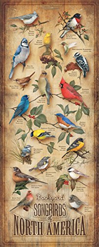 Wild Wings(MN) Backyard Birds 12" x 30" Wood Sign by Catherine McClung