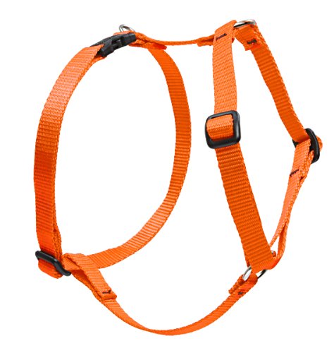 Lupine Pet Basics 1" Blaze Orange 24-38" Adjustable Roman Dog Harness for Large Dogs
