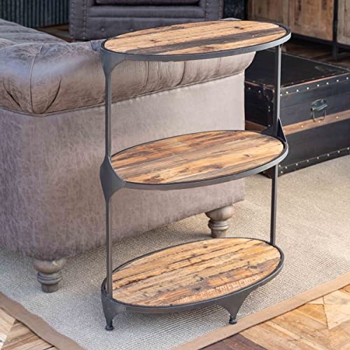 Park Hill Collection EFC90422 Oblong Metal and Reclaimed Wood Shelf, 30.25-inch Height