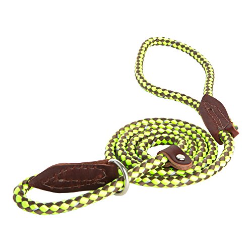 OmniPet 3613-LGR Rope Slip Lead for Dogs, 4&