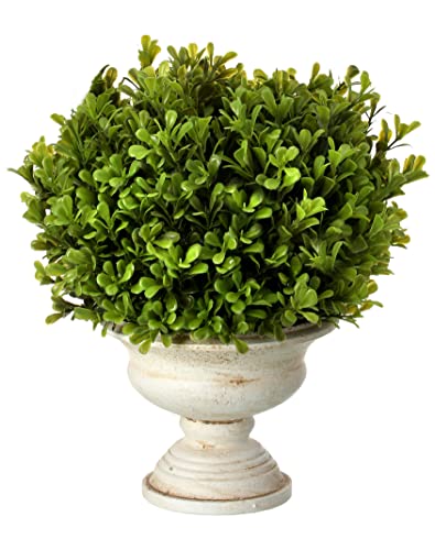 Regency International 11 Inch Artificial Boxwood Topiary Ball in White Urn Container