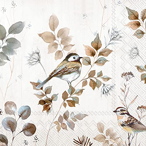 Boston International IHR Fall Autumn Halloween Thanksgiving 3-Ply Paper Napkins, 20-Count Cocktail Size, Woodland Birds Nature