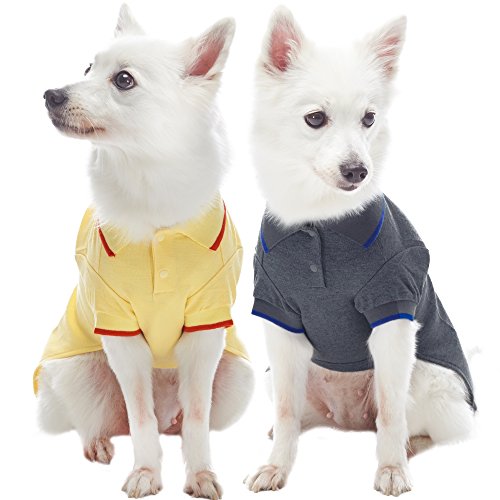 Blueberry Pet Pack of 2 Back to Basic Cotton Blend Dog Polo Shirts in Yellow and Smart Grey, Back Length 16", Clothes for Dogs