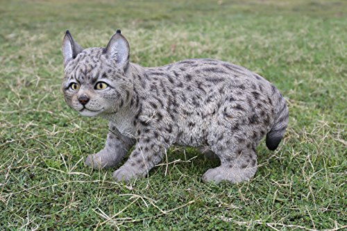Hi Line Gift 87711-B Lynx Kitten Statue
