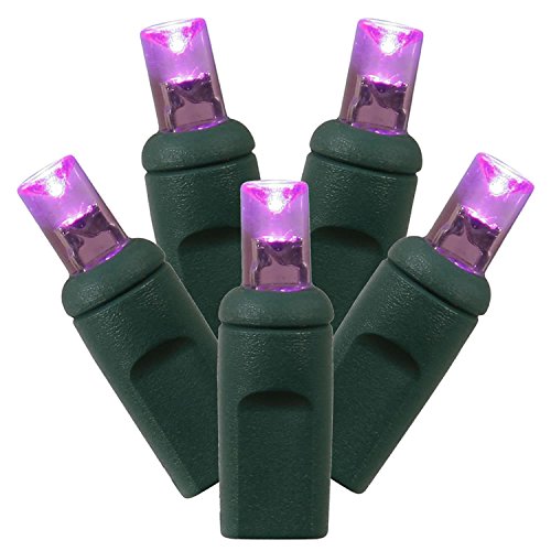 Vickerman Set of 100 Purple Commercial Grade LED Wide Angle Christmas Lights - Green Wire