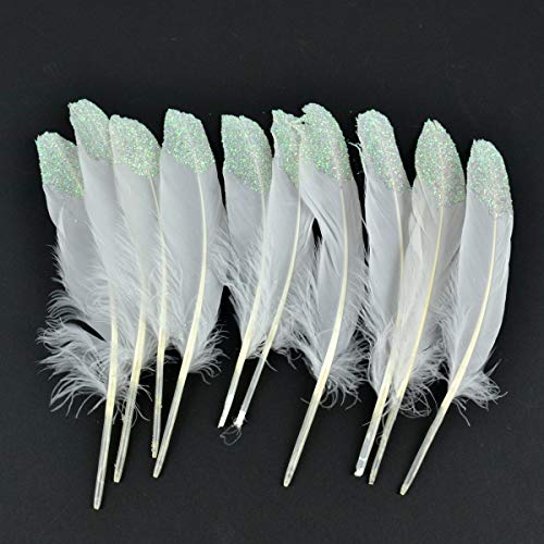 Midwest Design Imports Turkey Round Feathers, 7-8", White
