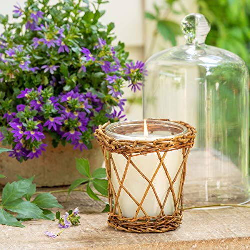 Park Hill Collection ENP10014 Willow Candle, 12 oz (Grace and Gardenia)