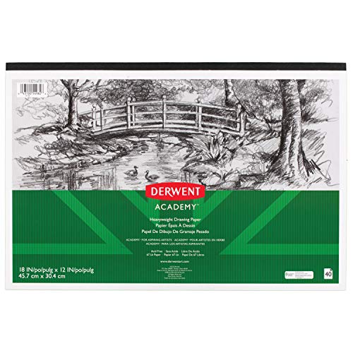 ACCO (School) Derwent Academy Drawing Paper Pad, 40 Sheets, 18" x 12", Heavyweight (54982)