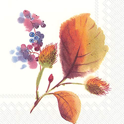 Boston International IHR 3-Ply Paper Napkins, 20-Count Lunch Size, Magic Of Autumn Cream