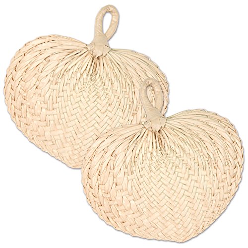 Beistle Natural Raffia Tropical Hand Fans