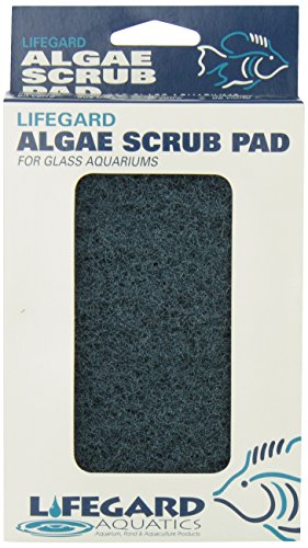Lifegard Aquatics 4-Inch by 6-Inch Blue Algae Pad