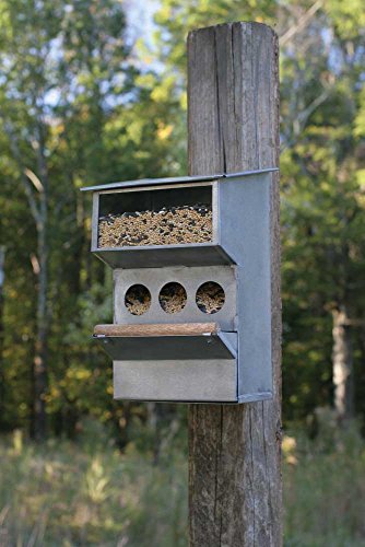 CTW Backyard Buddies Birdfeeder