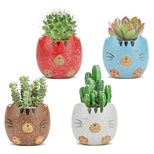 T4U Animal Succulent Pot Ceramic 3.5 Inch Set of 4, Small Cute Tabby Cat Planter with Drainage Hole for Cactus Bonsai Herb Plants, Colorful Cartoon Container for Cat Lovers Indoor Home Decoration