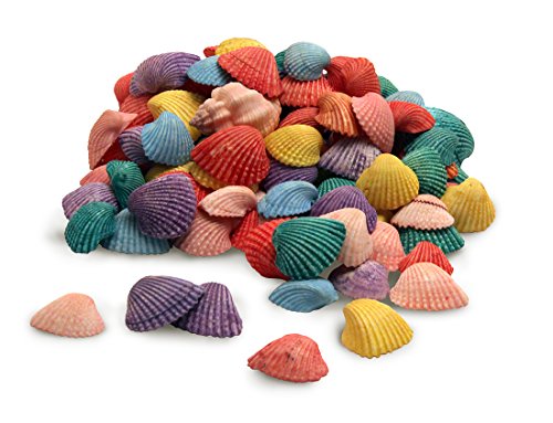 Hygloss Products Multi Colored Craft Shells ‚Äì Mixed Bucket O' Sea Shells From USA - 5 Ounce Container