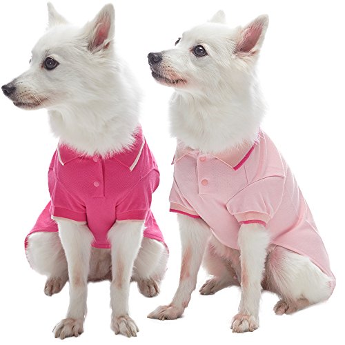Blueberry Pet Pack of 2 Back to Basic Cotton Blend Dog Polo Shirts in Pastel Pink and Blue, Back Length 14", Clothes for Dogs