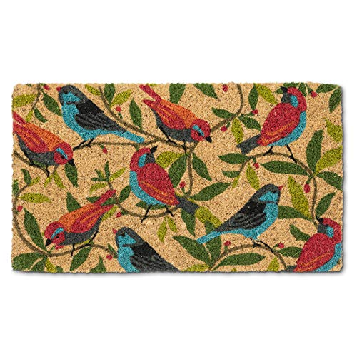 Abbott Collection  35-FWD-BI-1011 Colourful Birds Doormat, 18x30 inches L, Multi