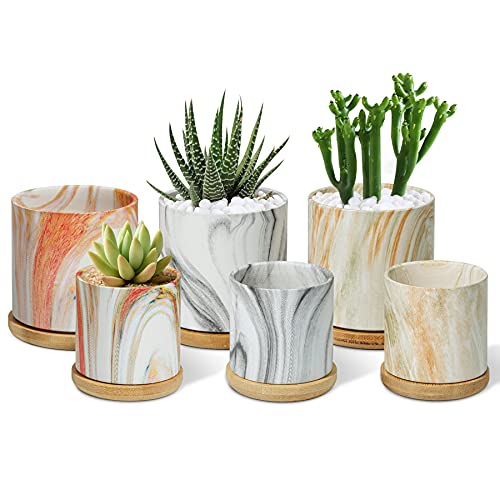 T4U Ceramic Plant Pot 3/2.5 Inch with Bamboo Tray Set of 6, Colorful Cylinder Succulent Pot Marbling Texture, Modern Small Flower Planter, Cactus Herb Container for Indoor Home Office Decor