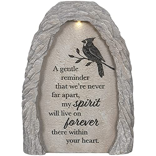 Carson Home Lit Lighted Solar Garden Marker Outdoor Decor (Gentle Reminder)