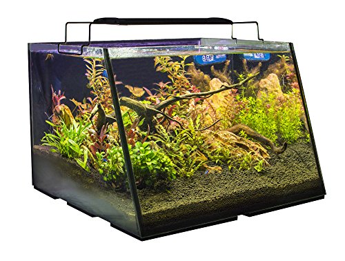 Lifegard Aquatics R800206 Full-View 5 Gallon Aquarium with Built-in Back Filter