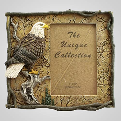 Lipco Polyresin Eagle Photo Picture Frame, 8.25-inch Length, Wall and Tabletop Decoration