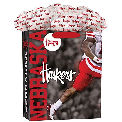 LANG Turner Licensing Nebraska Cornhuskers Large Gift Bag GoGo, MULTI