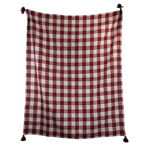 Foreside Home & Garden Red Gingham Pattern Handwoven 50 x 60 inch Outdoor Safe Throw Blanket with Hand Tied Tassels