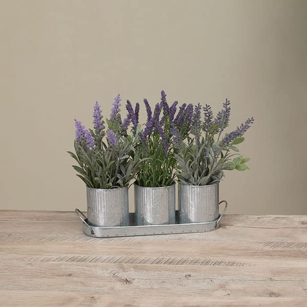 Gerson International Lavender in 3 Buckets with Tray, 16 Inch Long, Metal